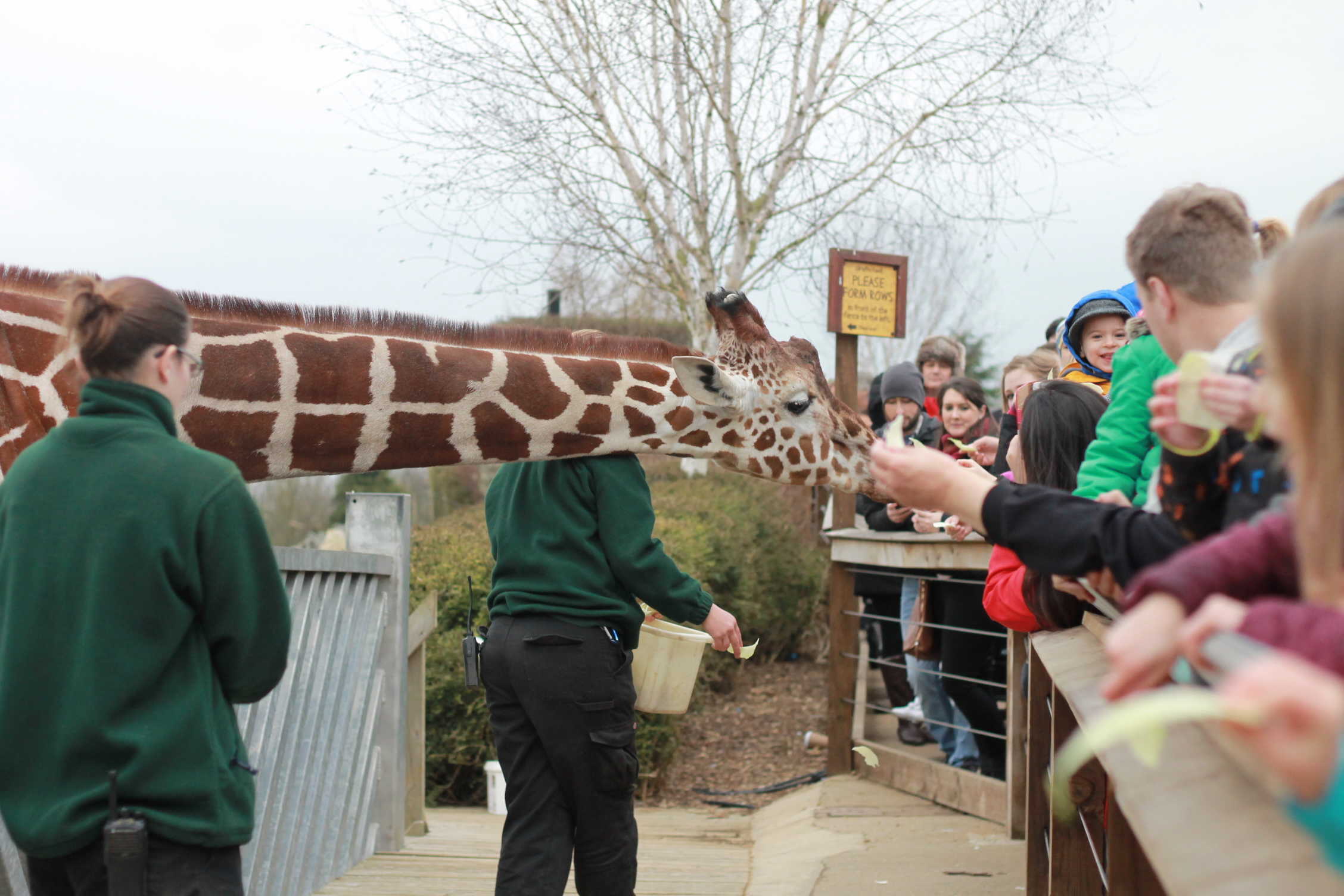 Colchester ZOO